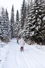 A walk through the winter forest. Snow trees and a cross-country ski trail. Beautiful and unusual roads and forest trails. Beautiful winter landscape. Skiing in the forest. Skiing movement