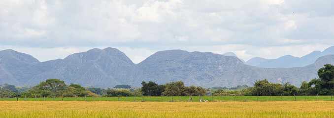 view of the mountains in Paicol Huila Colombia