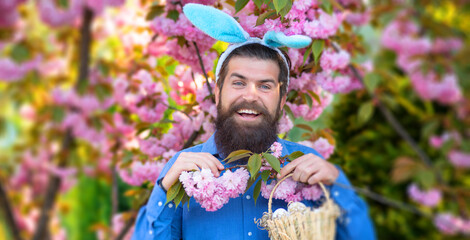 Man preparation for Easter. Bearded man with easter eggs on sprig garden. Easter hunt. Holidays. Easter banner, mockup copy space, poster flyer header for website template.