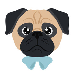 pug portrait