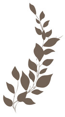 Set of leaves on PNG  White transparent background. Stock vector illustration.  01