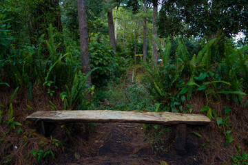 Wooden bench in the forest, El Boqueron, El Salvador 2022 