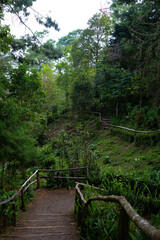 Footpath in the forest construct with wood for tourism in El Boqueron Volcano, El Salvador, 2022