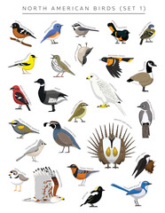 North American Birds Set Cartoon Vector Character 1