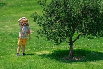 Growth kids concept. Child grow up near little tree at the summer park.