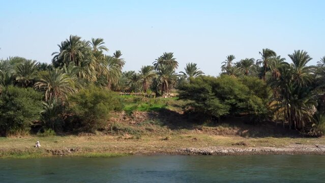 Panning shot of plantations in Nile River in Edfu