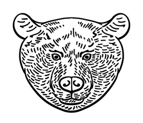 Hand-drawn black and white bear head