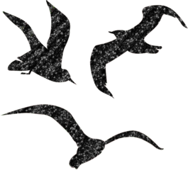 silhouette of a bird - black version 2