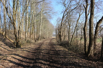 Landschaft Norddeutschland 