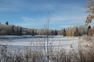 Frozen Lake, Gold Bar Park, Edmonton, Alberta