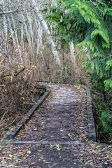 Boardwalk heads into woodlands and turns left