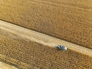 Konya - Turkey, November 12, 2022, Aerial view with drone of corn harvest footage in cornfield.