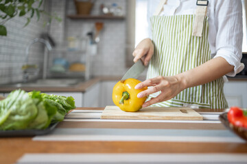 Portrait of attractive asian japanese woman in kitchen at home, young girl browsing website on tutor cooking class and doing for kitchen, cutting vegetables, cooking, cooking concept.