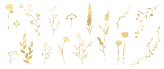 Luxury hand drawn botanical vector set. Collection of abstract gradient golden spring wild flowers, grass, leaf branch in minimal style. Design illustration for logo, wedding, invitation, decoration © TWINS DESIGN STUDIO