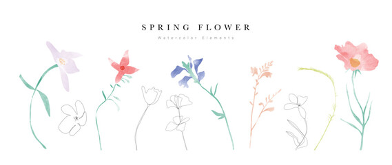 Watercolor hand drawn botanical vector set. Collection of abstract spring wild flowers, grass, leaf branch, floral leaves in minimal style. Design illustration for logo, wedding, invitation, decor