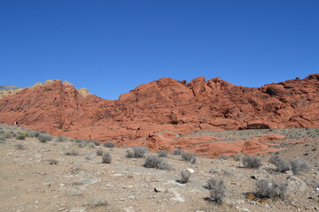 Fototapeta premium Red Rock Nevada