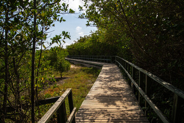 Fototapeta premium Sendero playa de los Alemanes