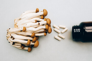 Medicinal shiitaki mushrooms, pills and jar on white background