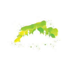 ramadan vector