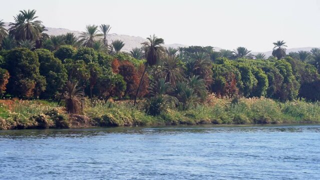 Gorgeous Green Farms along Nile River in Aswan Egypt