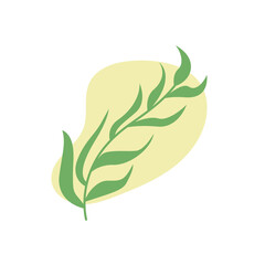 Aesthetic minimalism branch leaves with blob background