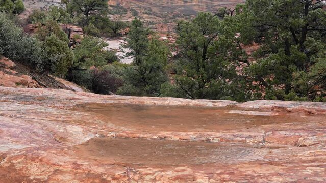 Puddles on the sandstone with raindrops splashing in the desert in Zion.