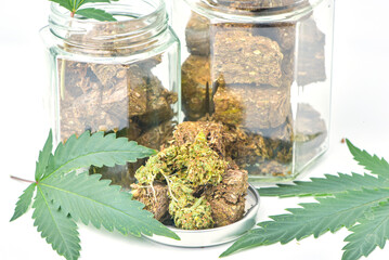 Dried marijuana in jar and green marijuana leaves on white background. Medical marijuana dispensary Alternative medicine Cannabis plantation for medical and business concept