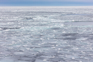 オホーツク流氷観光