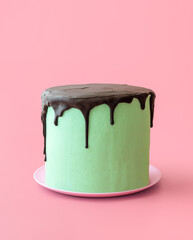 Mint cake with chocolate topping, isolated on a pink background