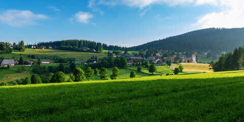 Obraz premium Landscape in the Black Forest
