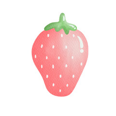 Watercolor pink strawberry.