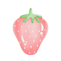 Watercolor pink strawberry.