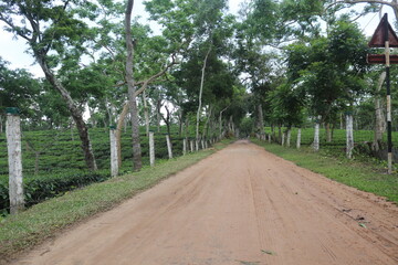 Amazing view of village street in Bangladesh