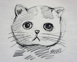 Art Drawing Fine art Sketch Cute Cat , kitten Thailand