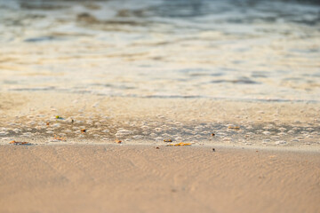 Bubbles left behind on the Beach