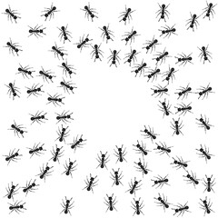 Vector insect ant. A design element for applications and websites. The concept of nature and small bugs.