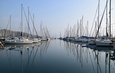 boats in marina