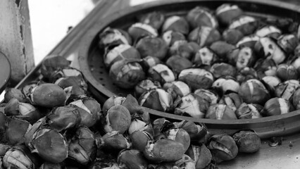 Greek Street Food Roasted Chestnuts. Selective Focus. Black and white Photo