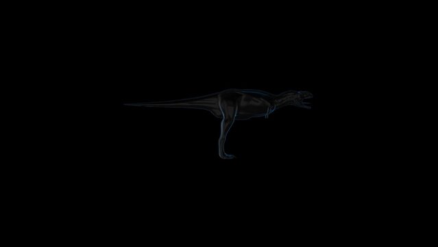 Dinosaur HUD 3D OPutline Transparent Alpha Video Animation