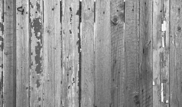 Rural Fence. Old Weathered Wooden Texture. Carpentry. Monotone Photo