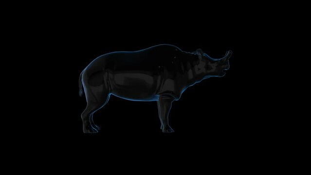 Dinosaur HUD 3D OPutline Transparent Alpha Video Animation