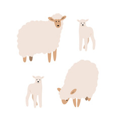 Obraz premium sheep illustrations, domestic animals clipart, farm life illustrations, farmer flat vector style