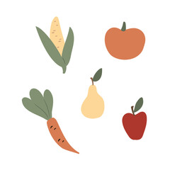 pear, apple, pumpkin, carrot, corn, farm, farm life illustrations, farmer flat vector style
