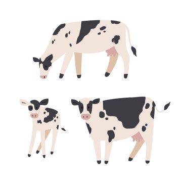 cow illustrations, domestic animals clipart, farm life illustrations, farmer flat vector style