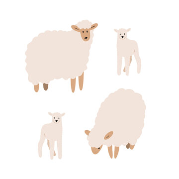 sheep illustrations, domestic animals clipart, farm life illustrations, farmer flat vector style