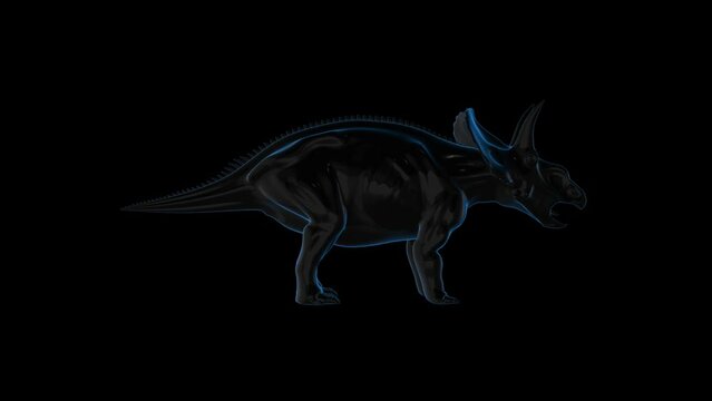 Dinosaur HUD 3D OPutline Transparent Alpha Video Animation