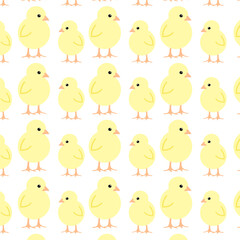 Pattern with chicks on white background. Vector illustration.