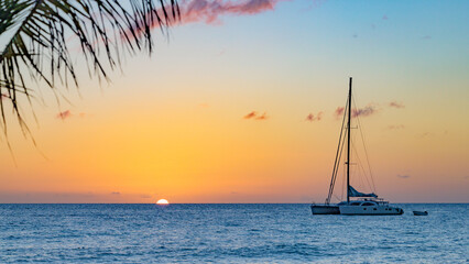 Sunset on the Caribbean Sea, with a coconut palm tree leave in the foreground and a sailboat in the...