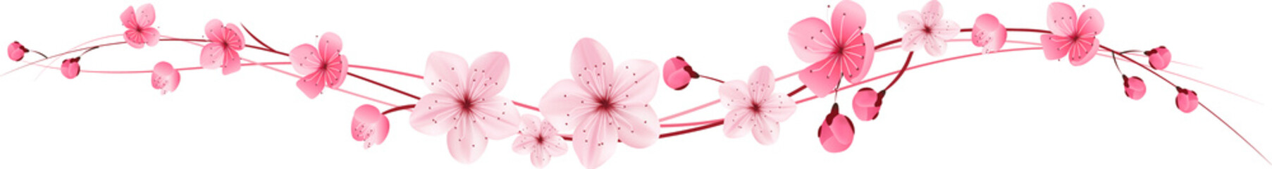 Fototapeta na wymiar pink cherry blossom flower border