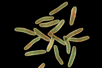 Pseudoalteromonas tetraodonis bacteria, 3D illustration. Marine bacteria living on puffer fish and secreting neurotoxin - obrazy, fototapety, plakaty